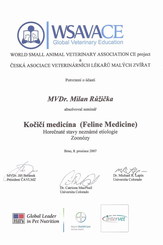 Veterinář Praha 4 - Kočičí medicína (feline medicine)