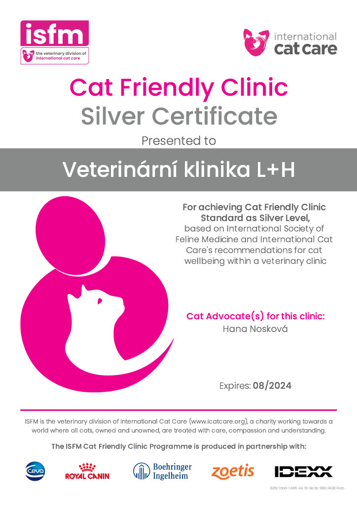 Silver Cat Friendly Clinic