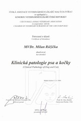 Veterinář Praha 4 - Klinická patologie psa a kočky