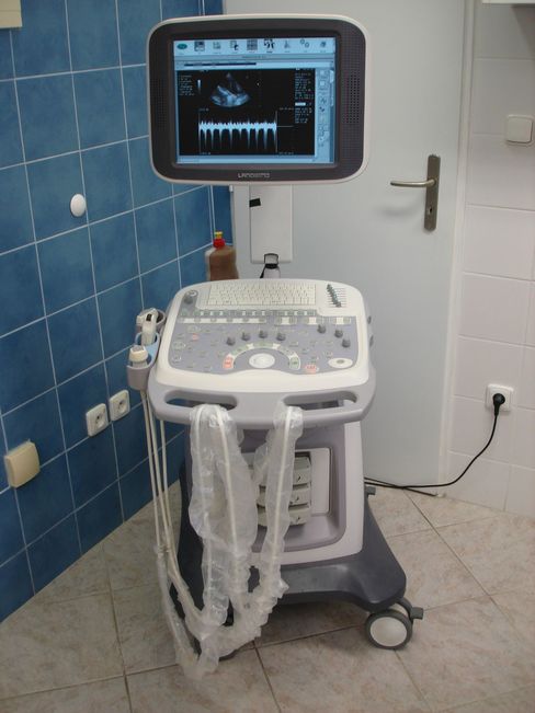 Ultrasonografický přístroj-LandWind Mirror2